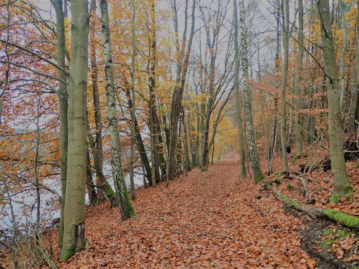 Ostoja Bukowo 12,2 Chata U Szoltesa Borowy Mlyn Exteriér fotografie