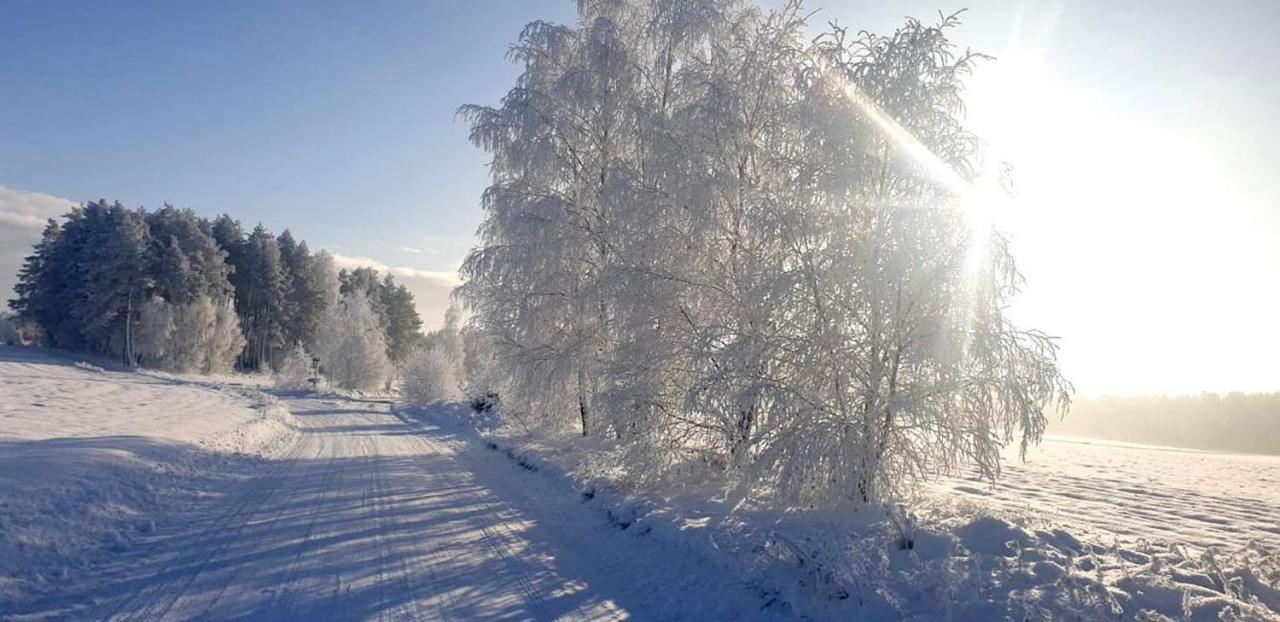 Ostoja Bukowo 12,2 Chata U Szoltesa Borowy Mlyn Exteriér fotografie
